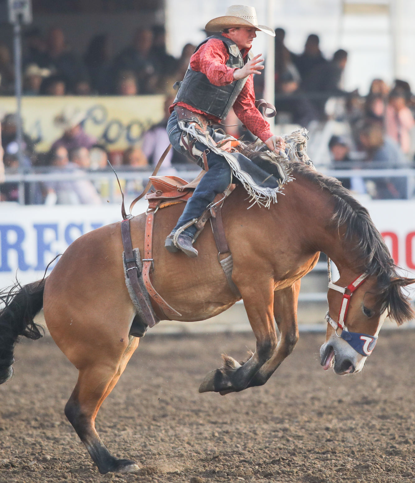 060119 Elks Rodeo Saturday 15.jpg